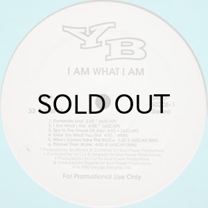 recordYB - I Am What I Am