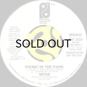 画像1: MFSB / PICNIC IN THE PARK (45's) (WHITE PROMO) (1)