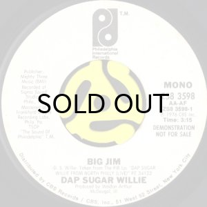 画像1: DAP SUGAR WILLIE / BIG JIM (45's) (WHITE PROMO) (1)