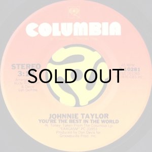 画像1: JOHNNIE TAYLOR / YOU'RE THE BEST IN THE WORLD (45's) (VINYL PRESS) (1)