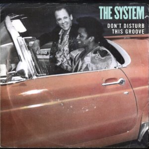 画像1: THE SYSTEM / DON'T DISTURB THIS GROOVE (45's) (PICTURE SLEEVE) (1)