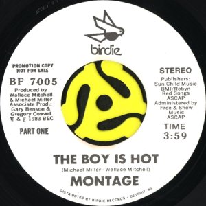 画像1: MONTAGE / THE BOY IS HOT (45's) (WHITE PROMO) (1)