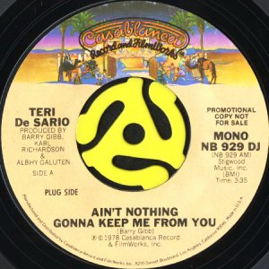 画像1: TERI DE SARIO / AIN'T NOTHING GONNA KEEP ME FROM YOU (45's) (PROMO) (1)